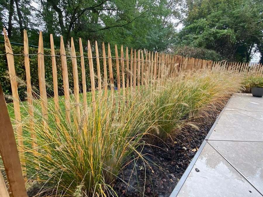Nieuw geplaatste kastanjeomheining met gespleten, gepunte palen en gedraaid draad, langs een border met siergrassen